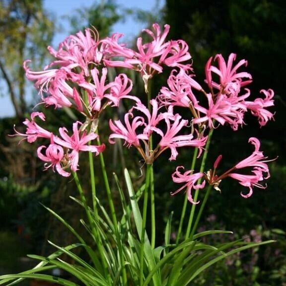 初めまして様へ😊お礼です