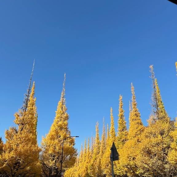 温め愛たいですね?