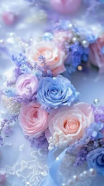 本日のお礼です✨️