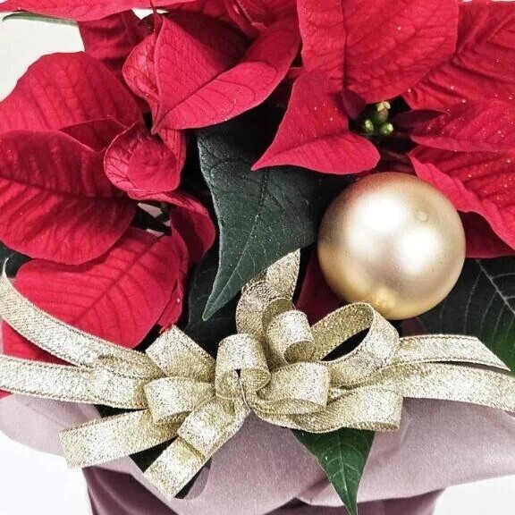 笑顔のCITY好き紳士様へお礼です🙂