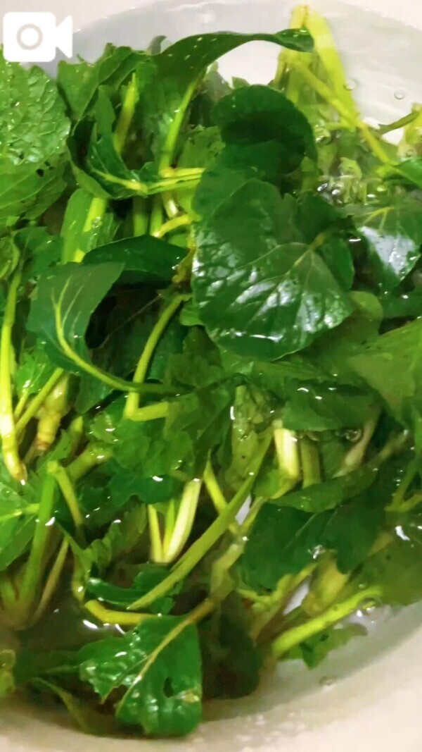 🌹冷たい風が良き🌹