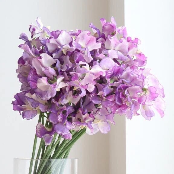 3度目まして N紳士様へお礼です🙂