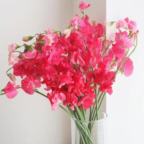 ファンタジーイケイケ紳士様へお礼です🙂