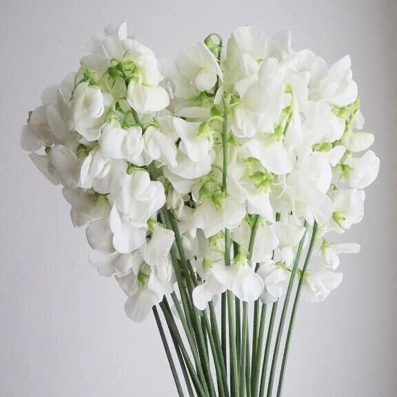 1007日ぶりの♡♡堅実ローリー紳士様へお礼です🙂