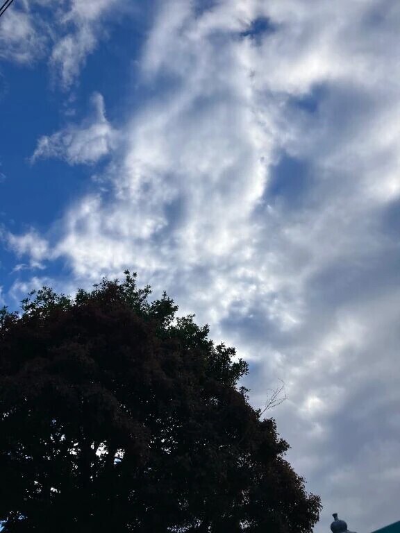 人が集う席には・・・✨