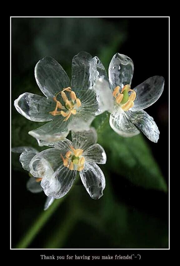 一言メッセージ