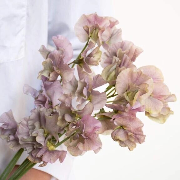 壊れかけのRadi〇紳士様へお礼です🙂