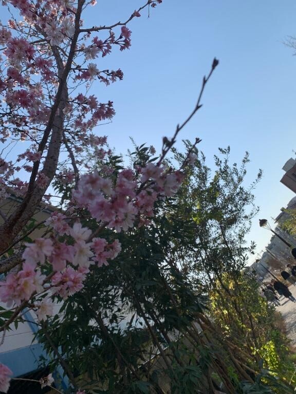 出勤しま～す。