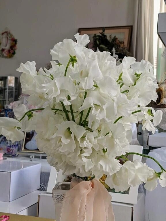 魅惑のミンティア紳士様へお礼です🙂