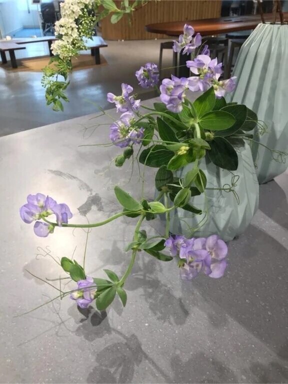 錦糸町再会Ｓ紳士様へお礼です🙂