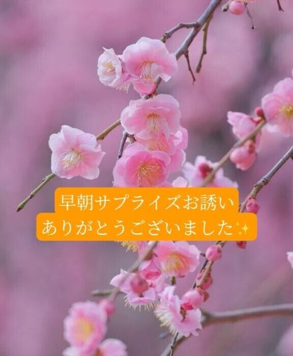 テキパキ滑らかスキンの紳士様へお礼です🙂