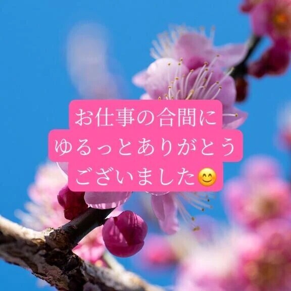 カモシカ脚の紳士様へお礼です🙂