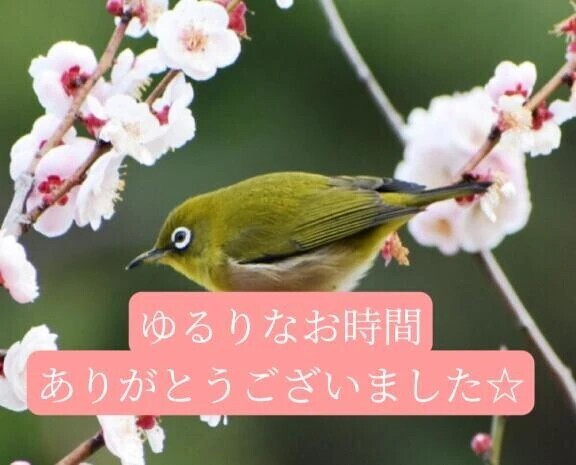 ドクターまたぎの紳士様へお礼です🙂