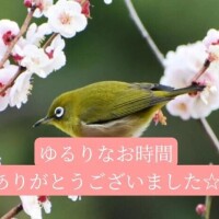 あさみ