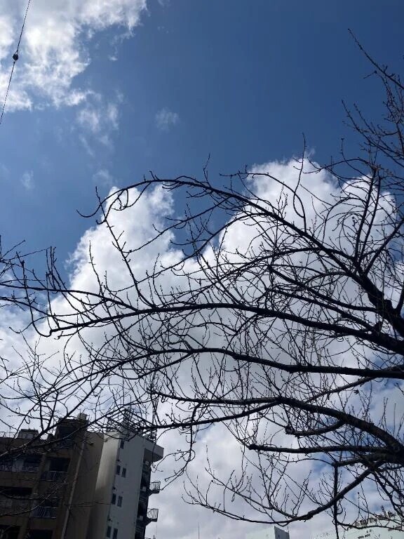 ルート変更🌺家路へGO