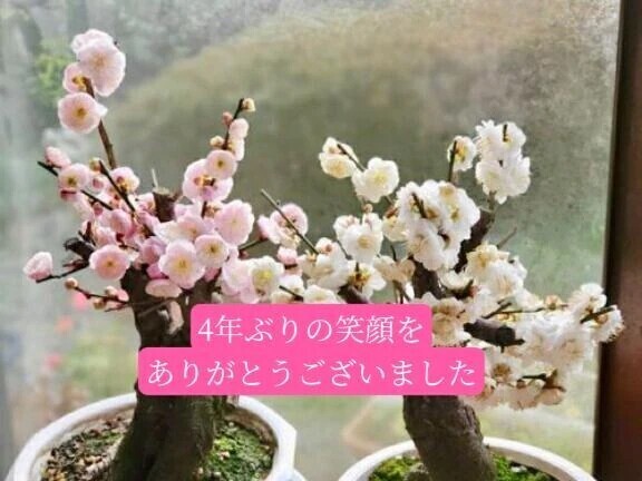 眩しい笑顔のⓂ️紳士様へお礼です🙂