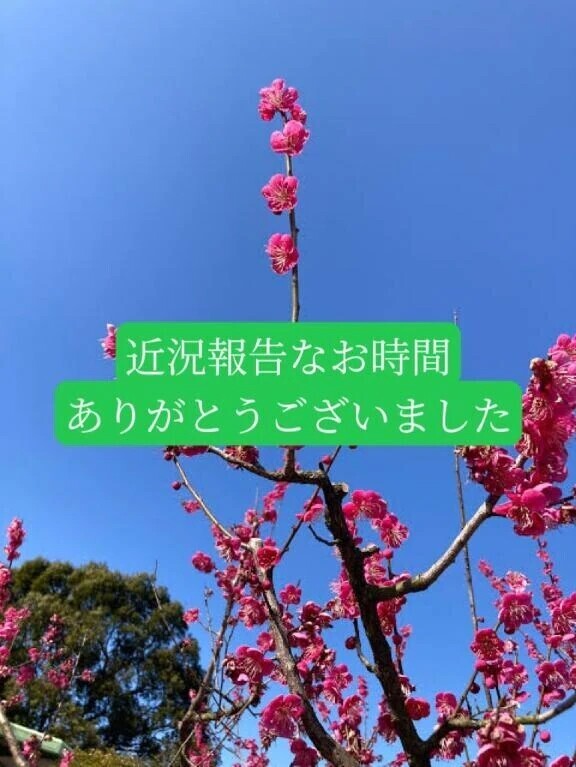 ＯＴＯＮＯちゃん紳士さまへお礼です🙂