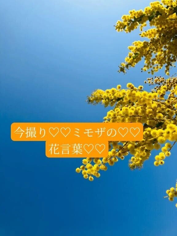 今撮り♡♡お外が気持ちいい日