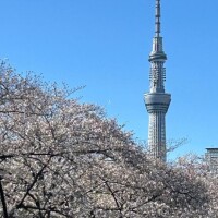 なつみ