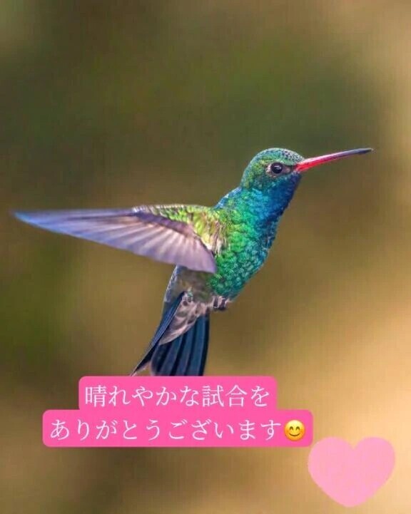 🍀格闘家紳士様へお礼です🍀