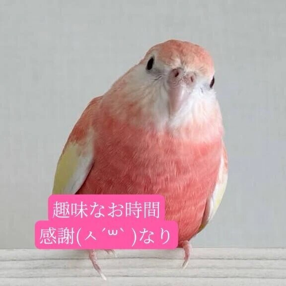🍀ドクターまたぎの紳士様へお礼です🍀