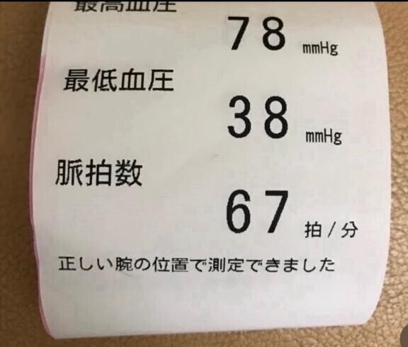 綾です??
