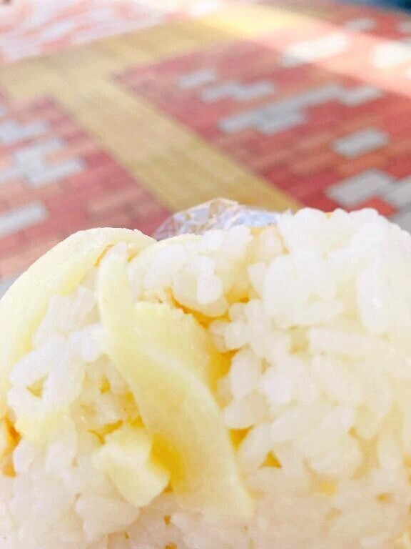 ピクニック🍱♥️🍙