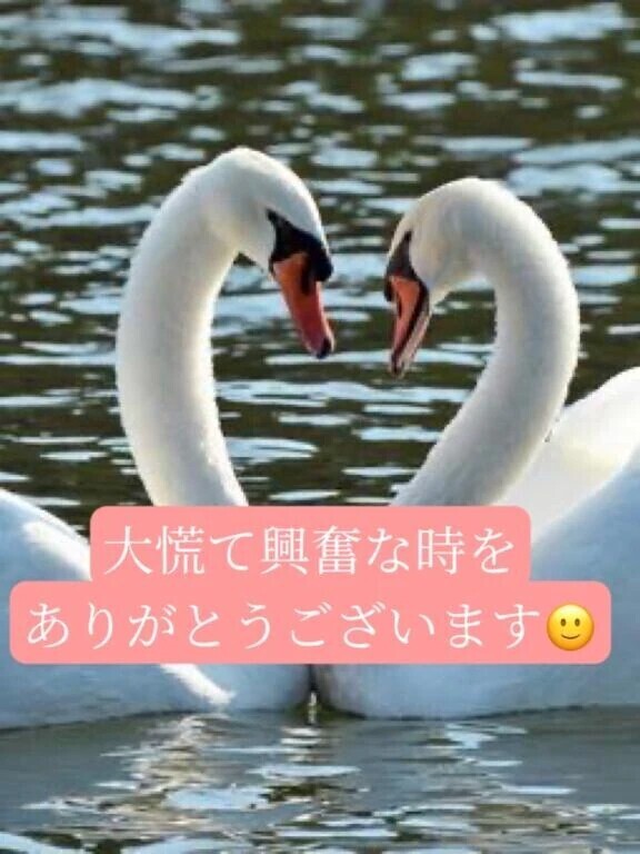 魅惑のミンティア紳士様へお礼です🙂