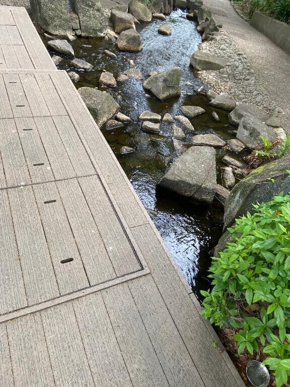 綾です??