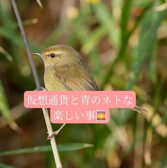 カモシカ足の紳士様へお礼です🙂