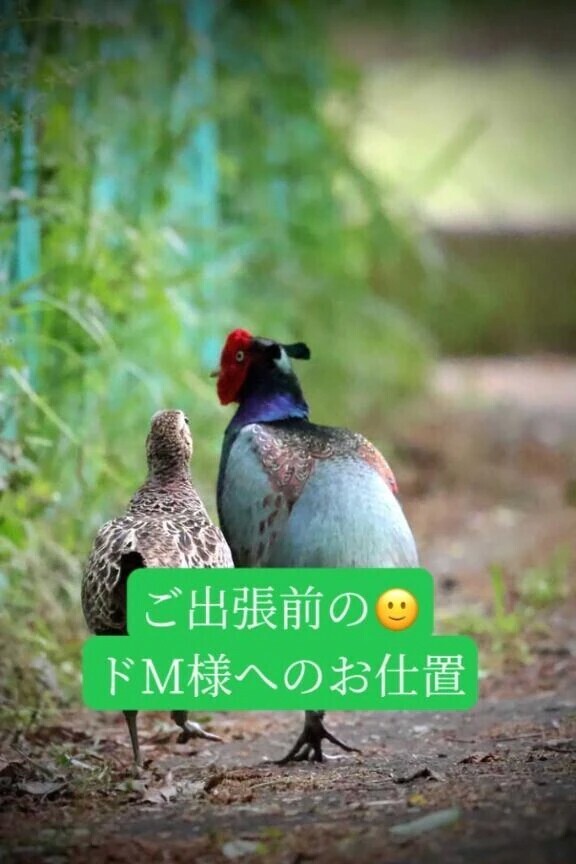 ファンタジーイケイケ紳士様へお礼です🙂