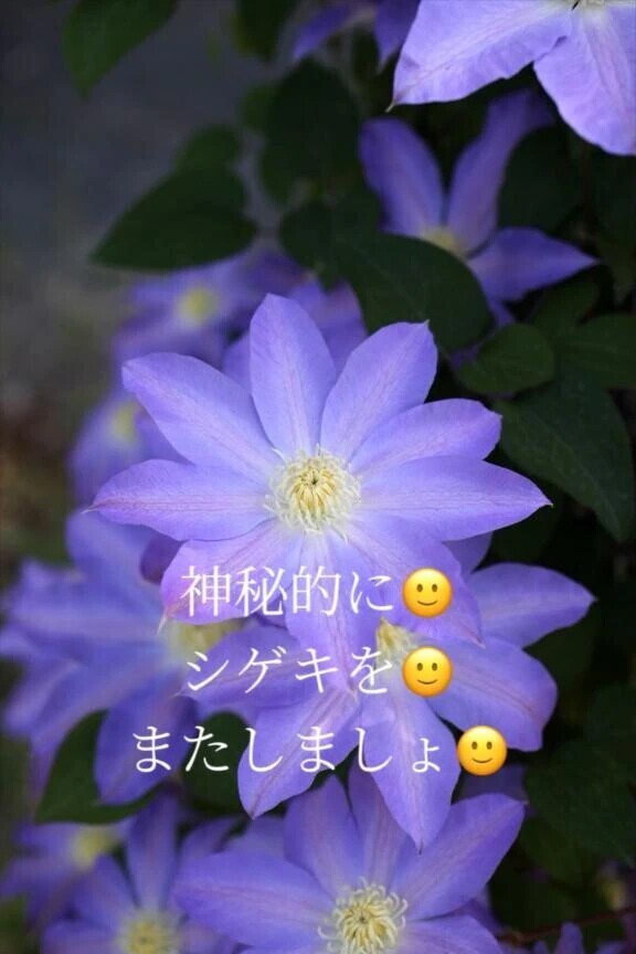はじめましてな🙂 Ｋ紳士様へお礼です🙂