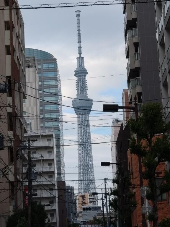 いい天気