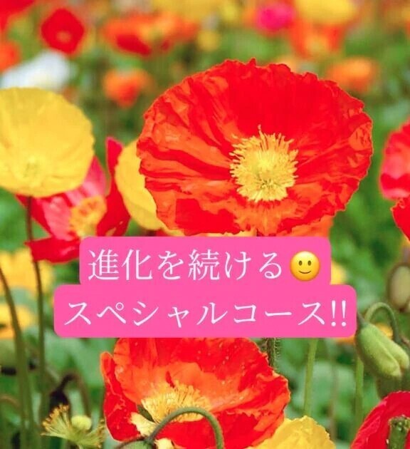 virtuouな紳士様へお礼です🙂
