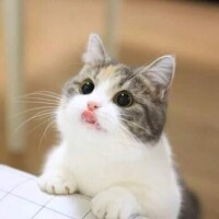 りお