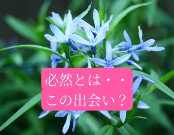 東京方面の初めまして様へお礼です🙂