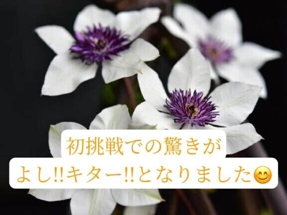 ドクターまたぎの紳士様へお礼です🙂