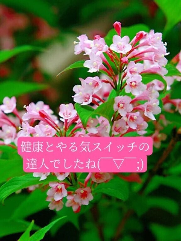 甘えん坊の弟くん紳士様へお礼です🙂
