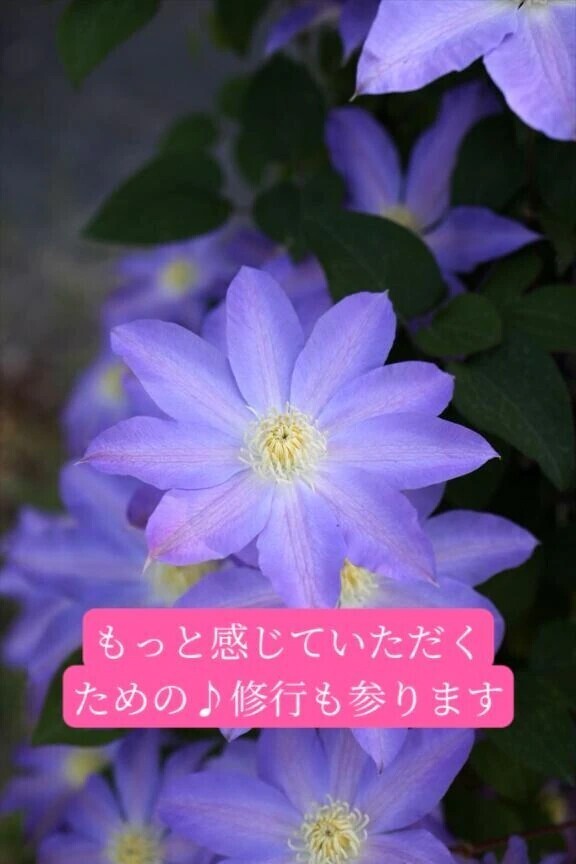 2度目ましてＫ紳士様へお礼です🙂