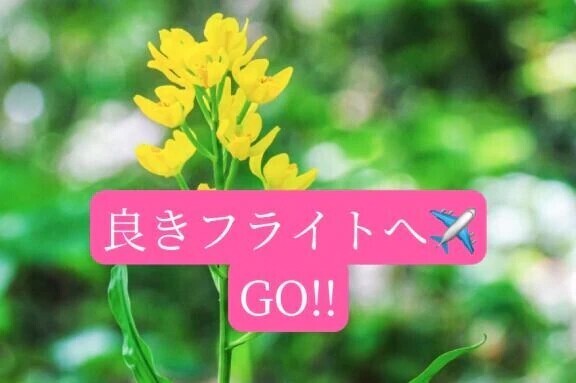 JAPAN好きなあなた様へお礼です🙂