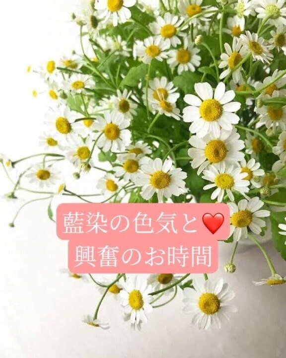 魅惑のミンティア紳士様へお礼です🙂