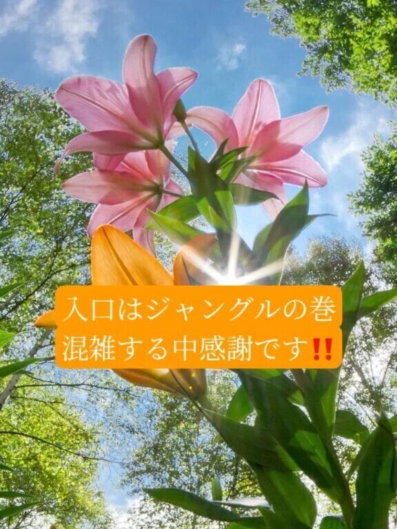 ＯＴＯＮＯちゃん紳士様へお礼です🙂