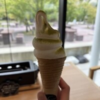 のの