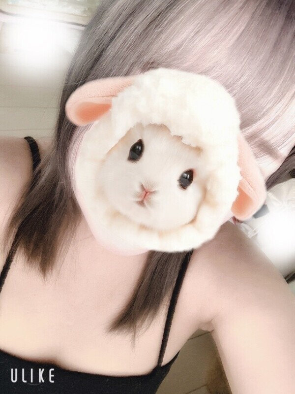 しゅっきん！