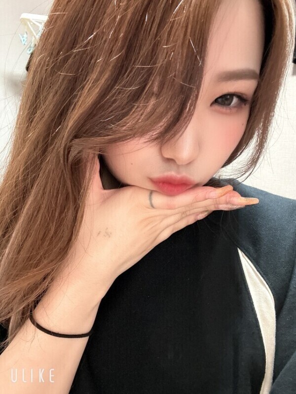 本日