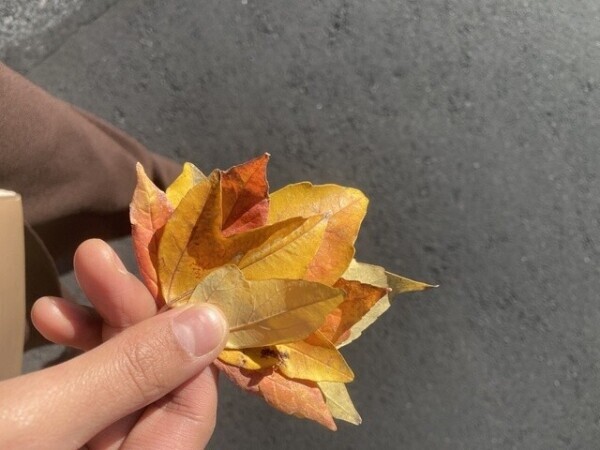お礼💌💭