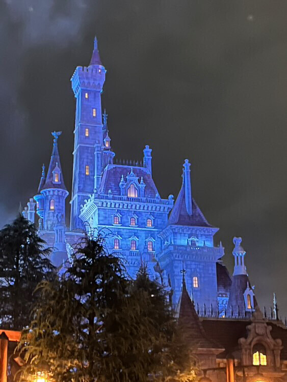 おはようございます☀️