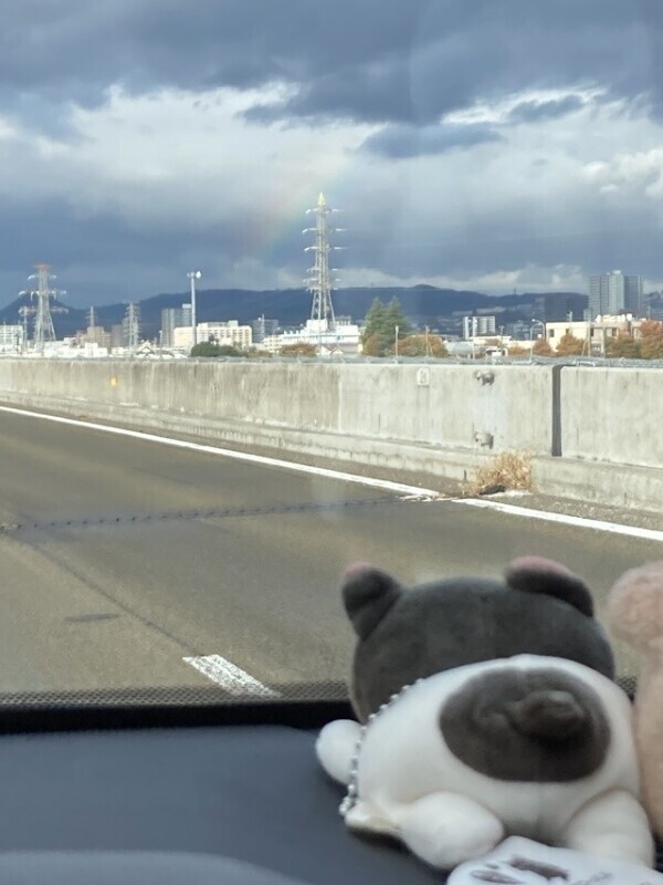 出勤しました〜