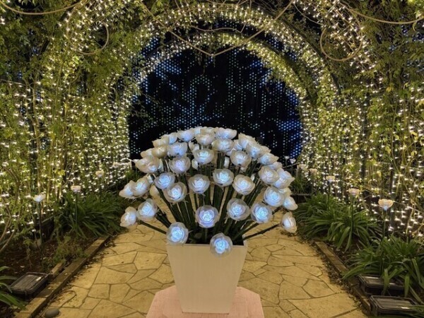 ありがとう♡⃛