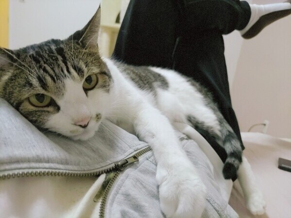 舌の👅お掃除ニオイケア完了😊